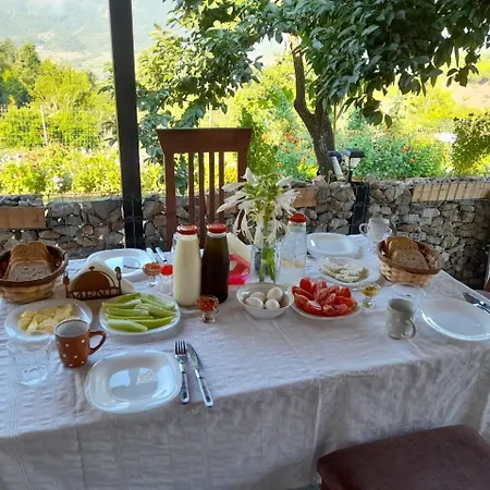 Stone House Σπίτι διακοπών Kelcyre