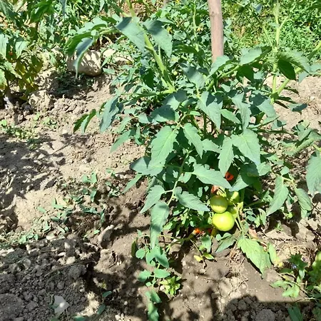 Hébergement de vacances Stone House Kelcyre