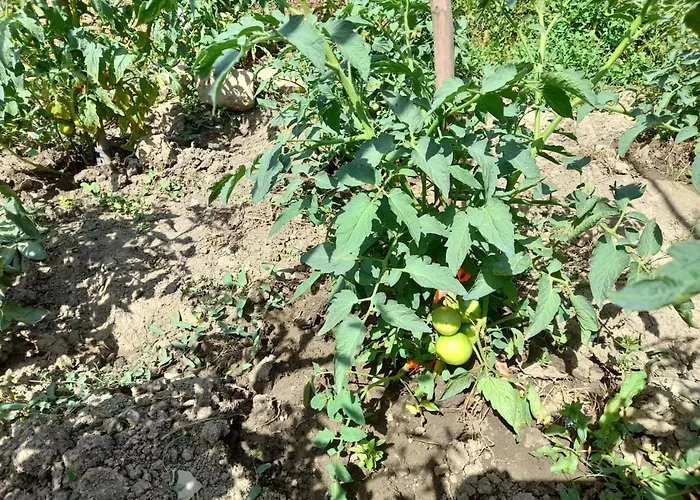 度假居 Stone House Kelcyre